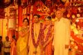 Nimmagadda Prasad Daughter Swathi Pranav Wedding Photos