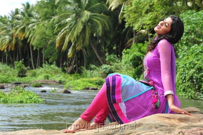 700px x 466px - Deeksha Seth in Churidar Stills Pics Images in Nippu Movie |  Moviegalleri.net