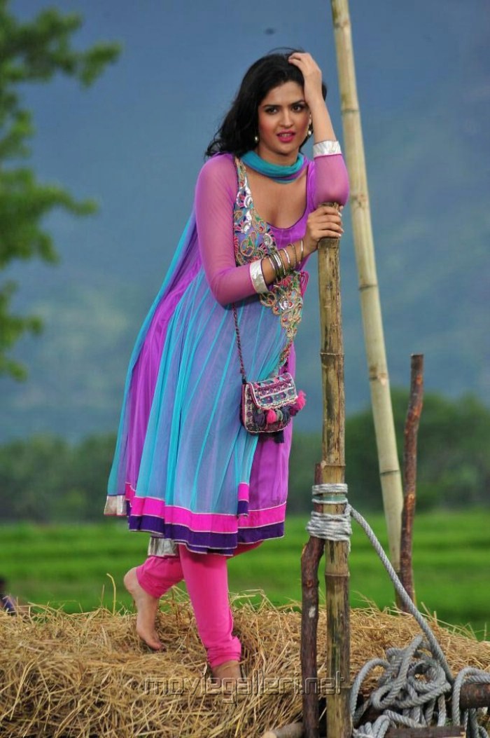 Deeksha Seth in Churidar Stills Pics Images in Nippu Movie |  Moviegalleri.net