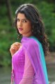 Deeksha Seth Images in Nippu