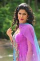 Nippu Deeksha Seth in Churidar Stills