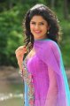 Nippu Deeksha Seth in Churidar Stills