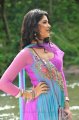 Deeksha Seth Images in Nippu