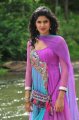 Nippu Deeksha Seth in Churidar Stills