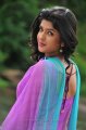 Nippu Deeksha Seth in Churidar Stills