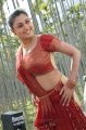 Actress Malavika in Nippulanti Nijam Movie Stills