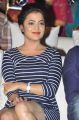 Nisha Agarwal Hot Photos at Saradaga Ammaitho Audio Release