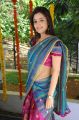 Nisha Agarwal Saree Hot Photos