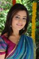 Nisha Agarwal at Sukumarudu Movie Launch