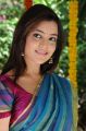 Nisha Agarwal at Sukumarudu Movie Launch