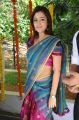 Nisha Agarwal in Saree Hot Stills at Sukumarudu Movie Opening