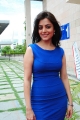 Nisha Agarwal in Blue Dress