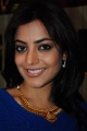 Nisha Agarwal in Blue Dress