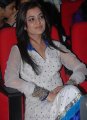 Nisha Agarwal New Cute Stills in Churidar