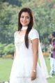 Nisha Agarwal Cute Pictures in White Salwar