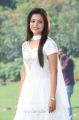 Nisha Agarwal Cute in White Churidar Pictures