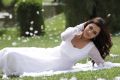 Nisha Agarwal Cute Pictures in White Churidar