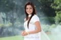 Actress Nisha Agarwal Cute Pics in White Churidar Dress