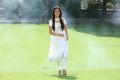 Nisha Agarwal Cute in White Churidar Pictures