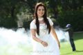 Actress Nisha Agarwal Cute Pics in White Churidar Dress