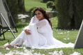 Actress Nisha Agarwal in White Churidar Pictures