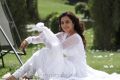 Actress Nisha Agarwal Cute Pics in White Churidar Dress