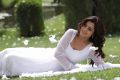 Nisha Agarwal Cute Pictures in White Churidar