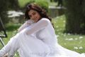 Nisha Agarwal Cute in White Churidar Pictures