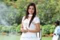 Actress Nisha Agarwal in White Churidar Pics