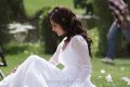 Actress Nisha Agarwal Cute Pics in White Churidar Dress