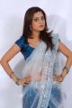 Actress Nisha Agarwal in Transparent Half Saree Photoshoot Stills