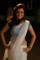 Solo Telugu Movie Heroine Nisha Agarwal  Saree Hot Stills
