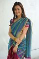 Actress Nisha Agarwal Hot Stills in Uppada Saree