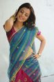 Actress Nisha Agarwal Hot Stills in Uppada Saree