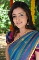 Nisha Agarwal Hot Stills in Uppada Silk Saree