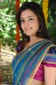 Nisha Agarwal Hot Stills in Uppada Pattu Saree