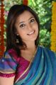 Actress Nisha Agarwal Hot Stills in Silk Saree