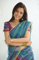 Telugu Actress Nisha Agarwal Hot Saree Stills