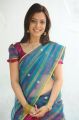 Nisha Agarwal Hot Stills in Uppada Silk Saree