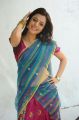 Nisha Agarwal Hot Stills in Uppada Silk Saree