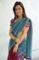 Telugu Actress Nisha Agarwal Hot Transparent Saree Stills