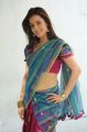 Telugu Actress Nisha Agarwal Hot Saree Stills