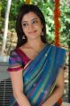 Actress Nisha Agarwal in Uppada Silk Saree Hot Stills