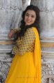 Nisha Agarwal Cute Pics in Yellow Churidar @ Saradaga Ammayilatho