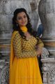 Telugu Actress Nisha Agarwal Cute Pics in Yellow Churidar Dress