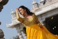 Telugu Actress Nisha Agarwal Cute Pics in Yellow Churidar Dress