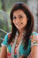 Nisha Agarwal Photo Shoot Stills