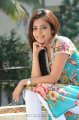 Nisha Agarwal Photo Shoot Stills