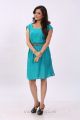 Nisha Agarwal New Photoshoot Pics in Light Blue Skirt