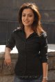 Nisha Agarwal Photo shoot Gallery